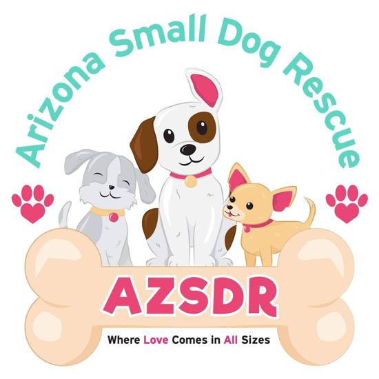 RYNO Website Giveaway Winner - Arizona Small Dog Rescue