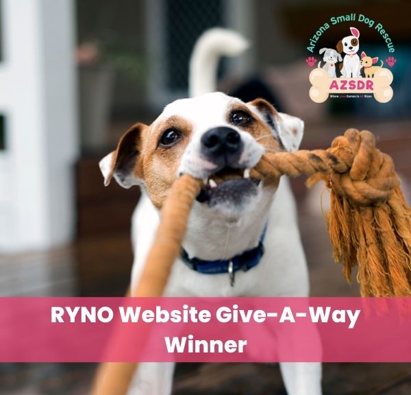 RYNO Website Give-A-Way Winner: Arizona Small Dog Rescue | RYNOSS